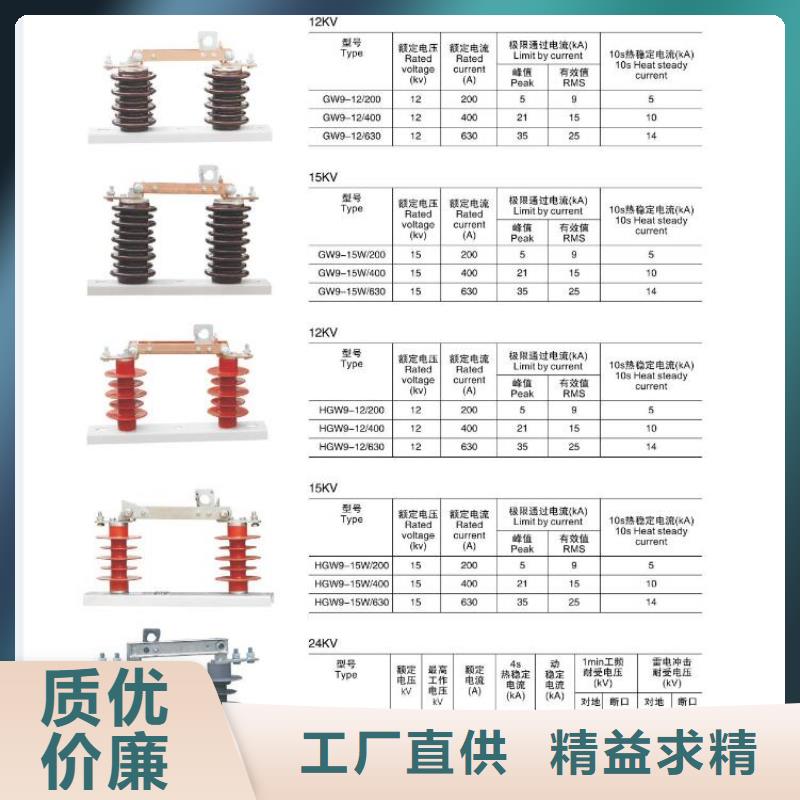 支持絕緣子：ZSW1-66/800