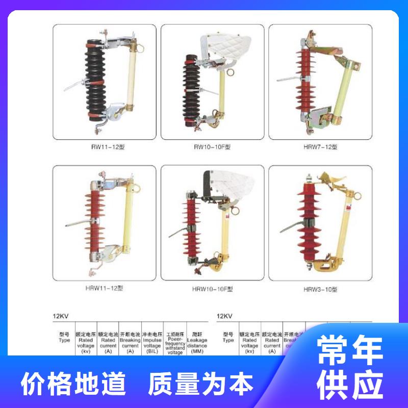 【羿振电力】YH10WZ-100/260生产厂家