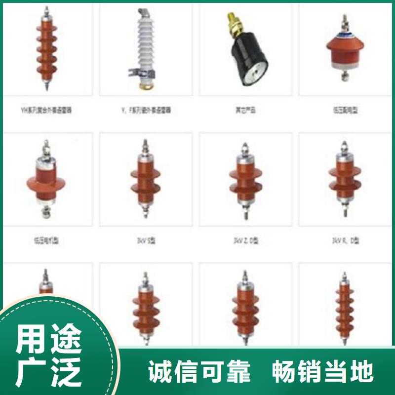 复合外套金属氧化锌避雷器\5kAWZ-51/134kV【上海羿振电力设备有限公司】