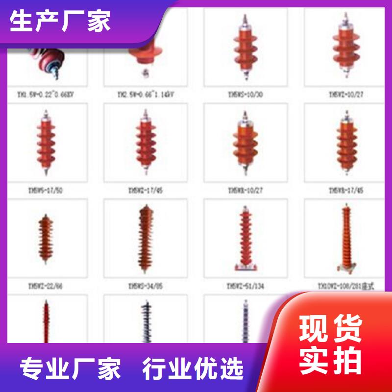 【羿振电气】YH5W2-17/45复合外套氧化锌避雷器