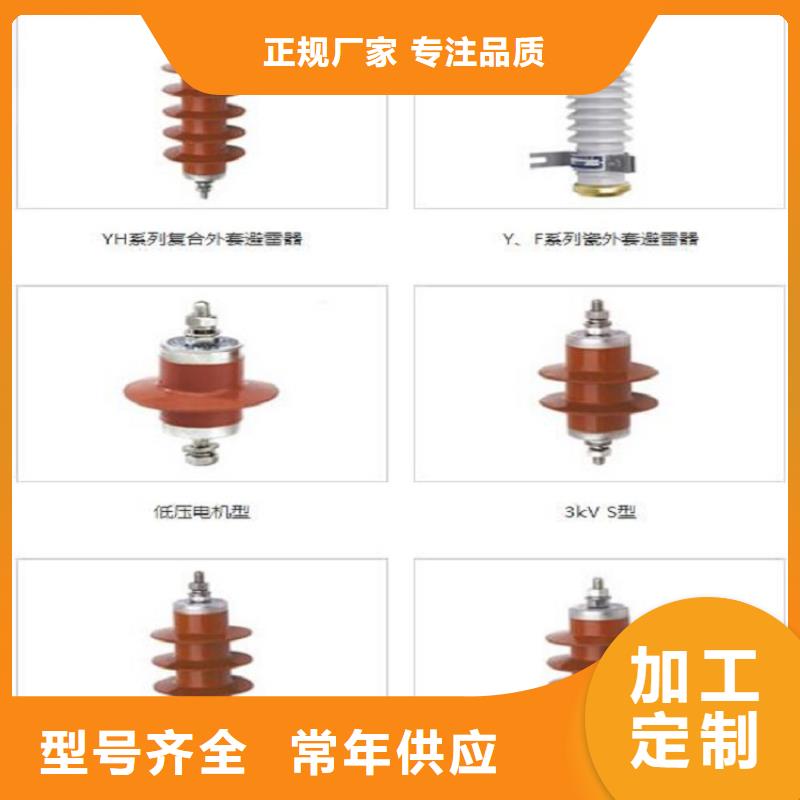 避雷器Y10W-100/260浙江羿振电气有限公司