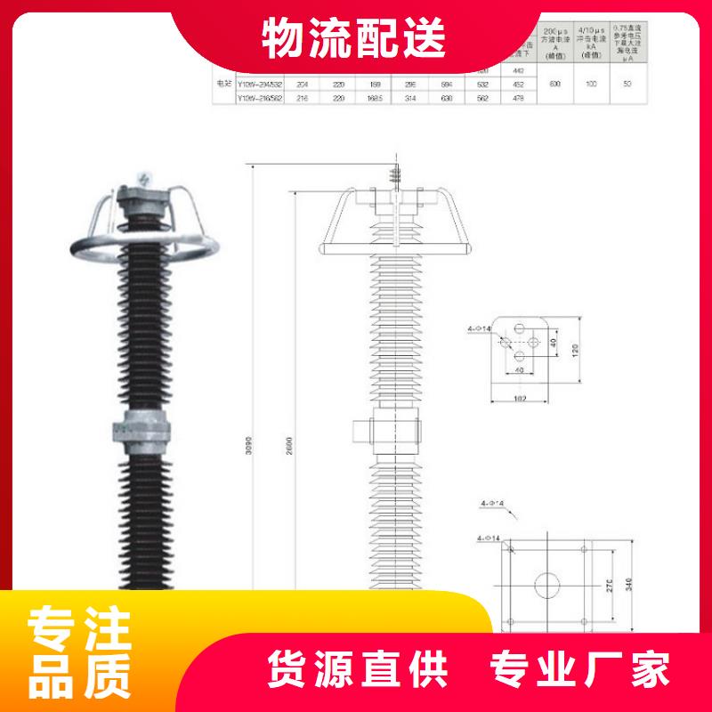 避雷器YH10W5-96/250【羿振电气】