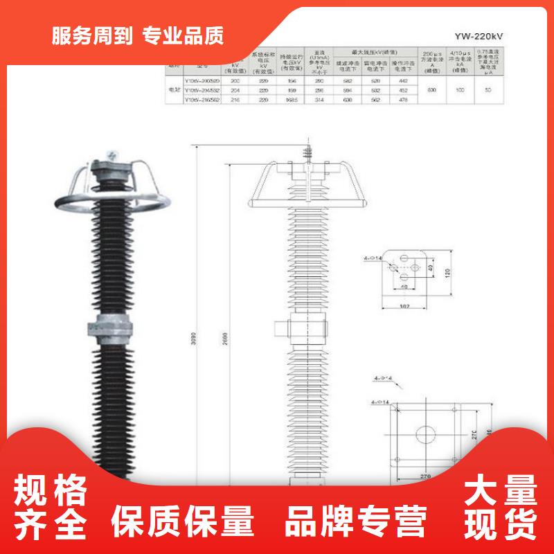 避雷器Y10W-108/281.