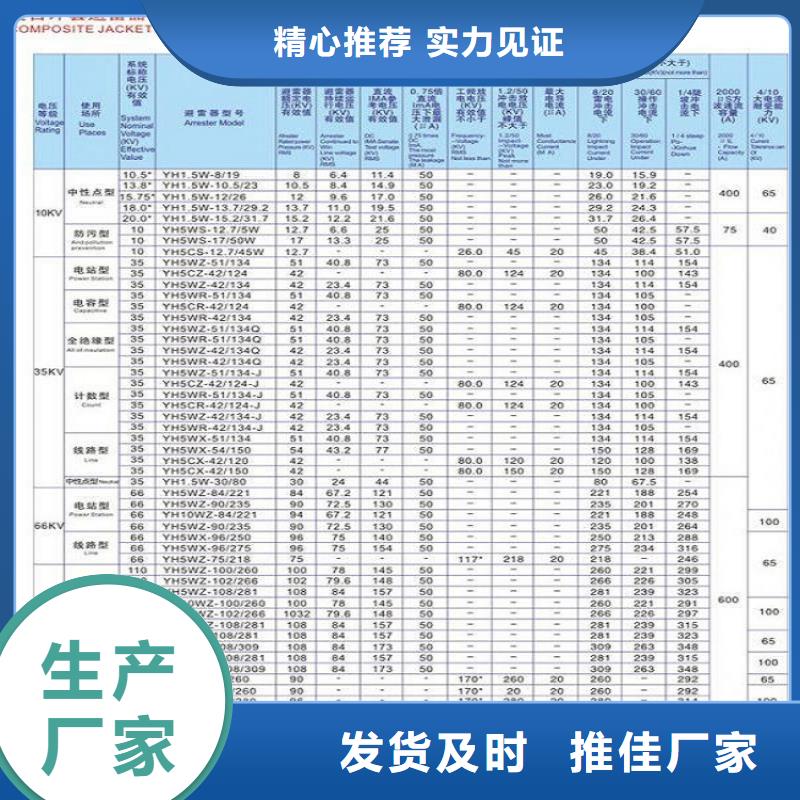 避雷器YH5WS-10/30【羿振电力】