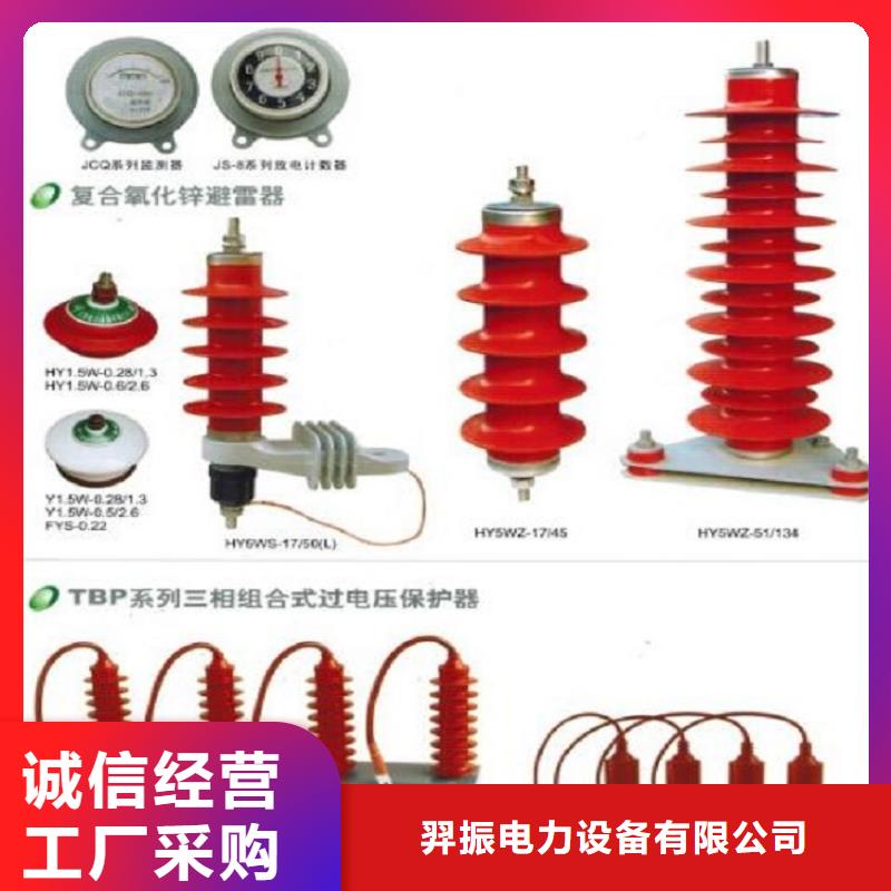 _避雷器YH5W5-216/562【羿振电力设备】