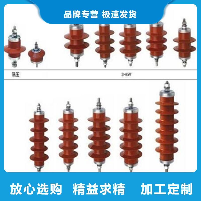 氧化锌避雷器Y10WZ-96/232