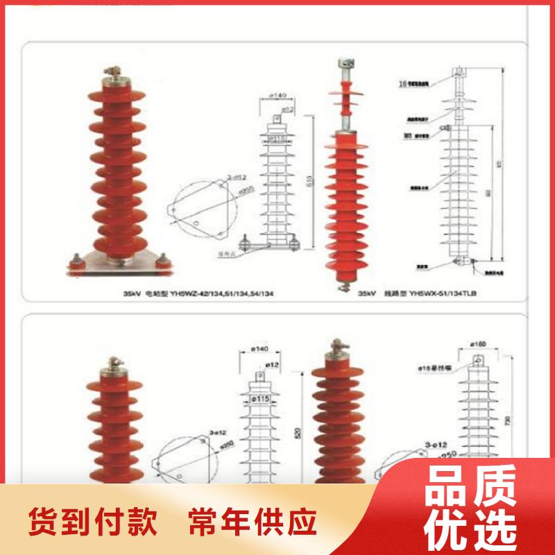 金属氧化物避雷器Y10W-192/500浙江羿振电气有限公司