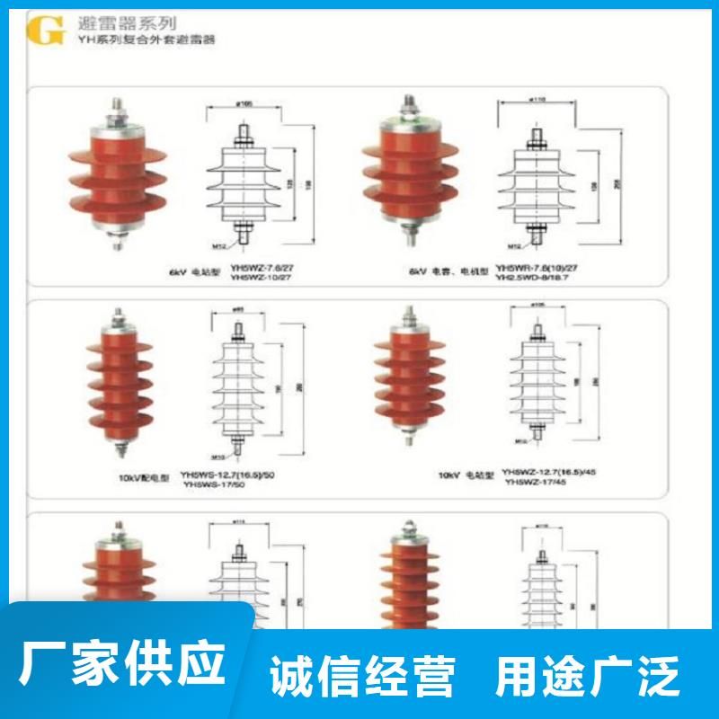 瓷外套金属氧化物避雷器Y10W-200/496