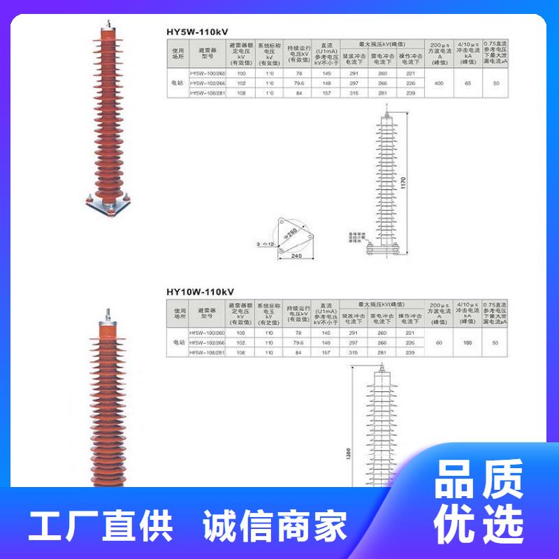 瓷外套金属氧化物避雷器Y10W-200/496