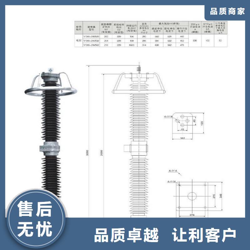 氧化鋅避雷器Y10W5-96/250