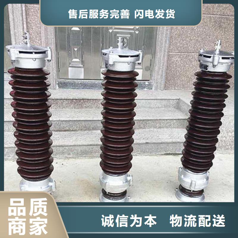 【羿振电气】复合外套氧化锌避雷器HYSWS-17/50-避雷器生产厂家