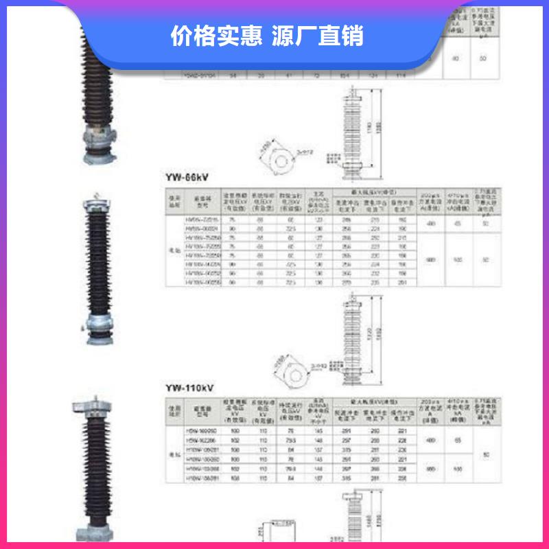 避雷器Y1.5W-60/144.