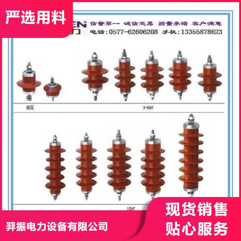 避雷器YH10W5-96/250【羿振电气】