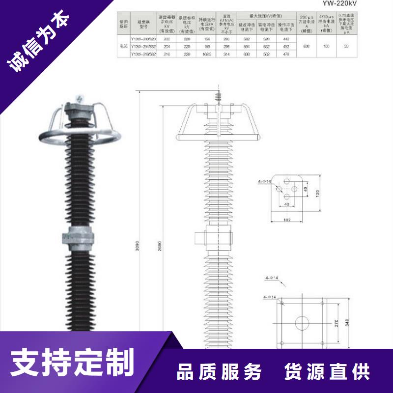 瓷外套金属氧化物避雷器Y10W-200/496