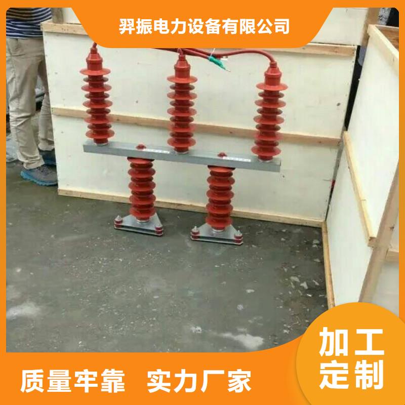 保护器(组合式避雷器)TBP-A-42/630W