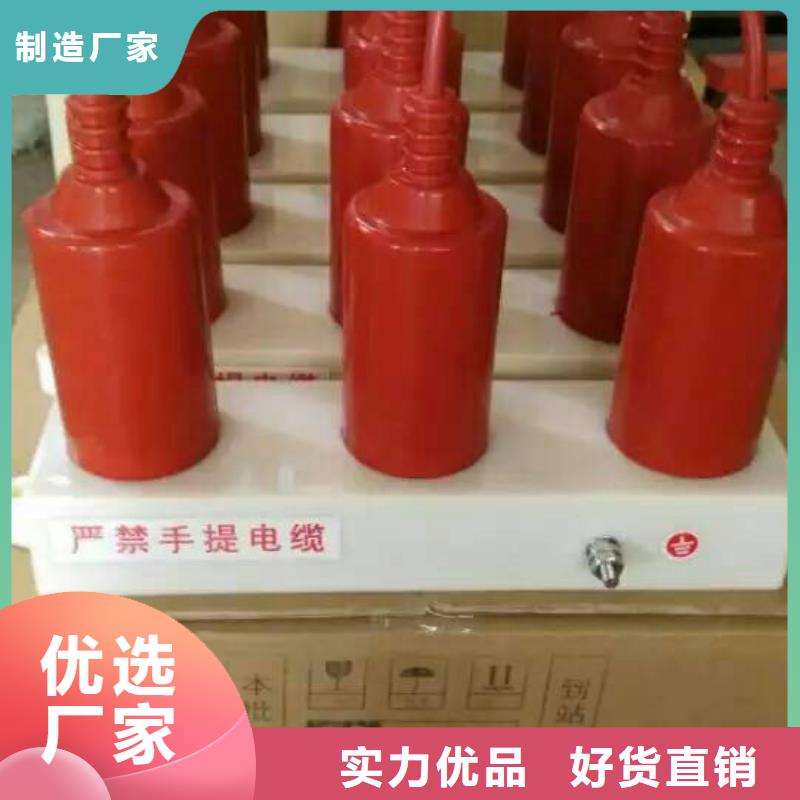 【过电压保护器】-高压隔离开关厂家厂家直销直供-羿振电力设备(嘉兴市分公司)|覆盖地域平湖|海宁|衢州|湖州|宁波|温州|杭州|台州