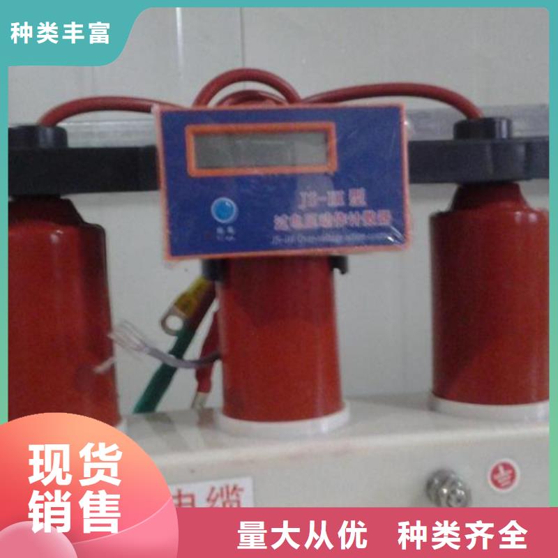 【过电压保护器】-高压隔离开关厂家厂家直销直供-市场覆盖|嘉善|海宁|丽水|杭州|湖州|台州|宁波-企业旺旺