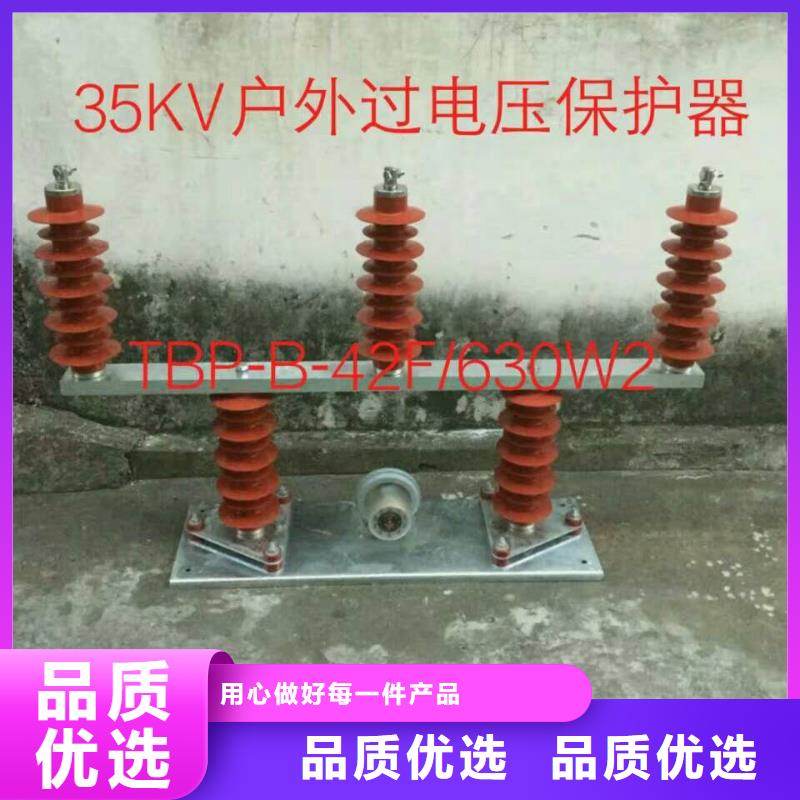 过电压保护器(组合式避雷器)TBP-B-7.6/85-J
