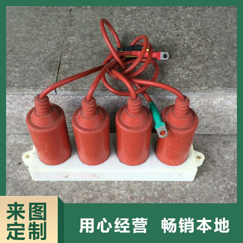 【避雷器】YH5CS-12.7/45*12.7/45