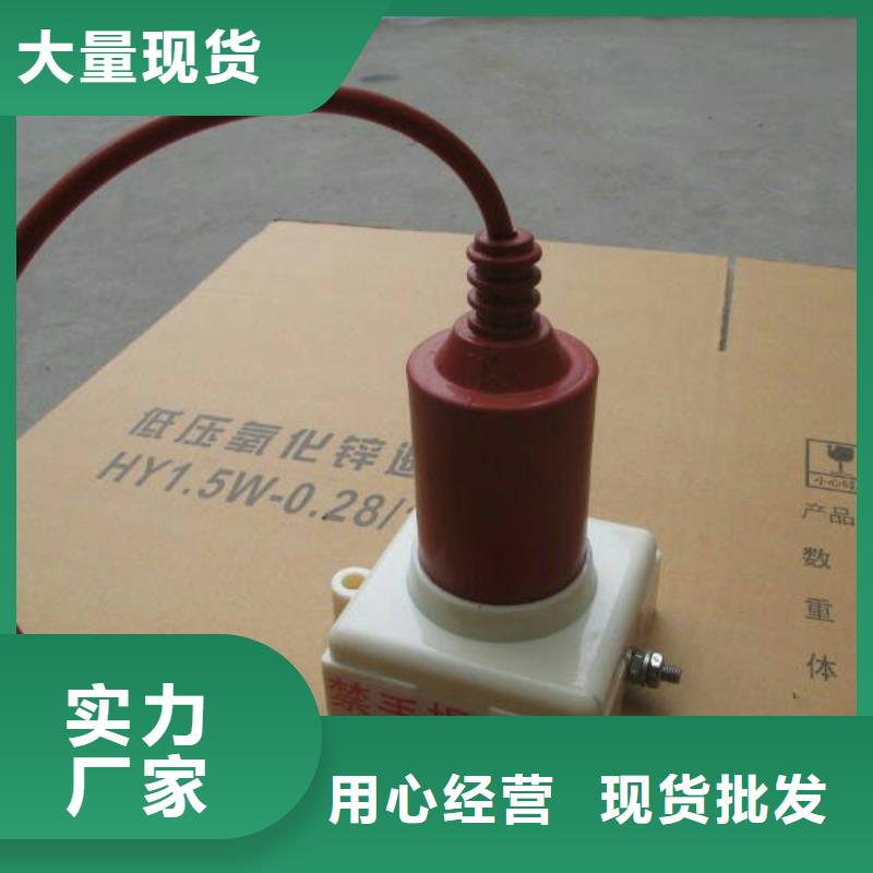 【避雷器】YH5CS-12.7/45*12.7/45