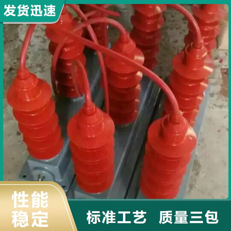 ＿保护器(组合式避雷器)BSTG-C-42F/400W1