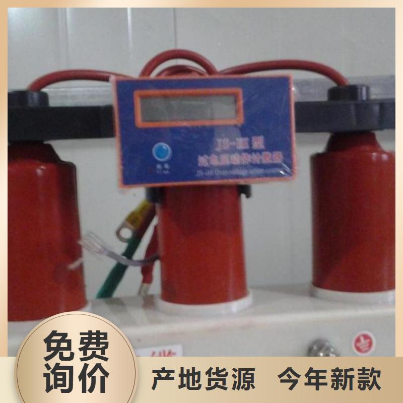 过电压保护器(组合式避雷器)YH5WD-4/11.6*4/9.5