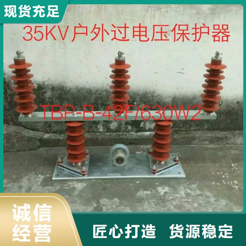 过电压保护器(组合式避雷器)TBP-B-10.5/131-J