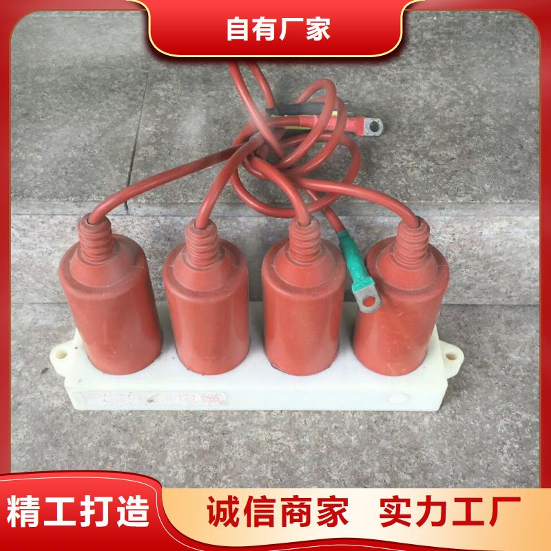 《過電壓保護器》YH5WZ-51/150*51/134