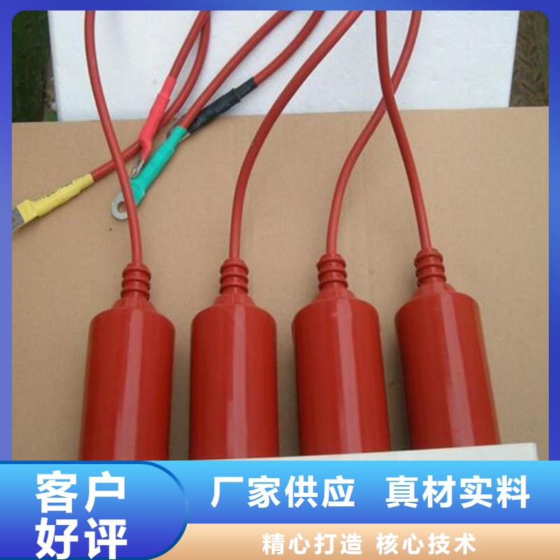 TBP-A-42F/400W过电压保护器生产厂家