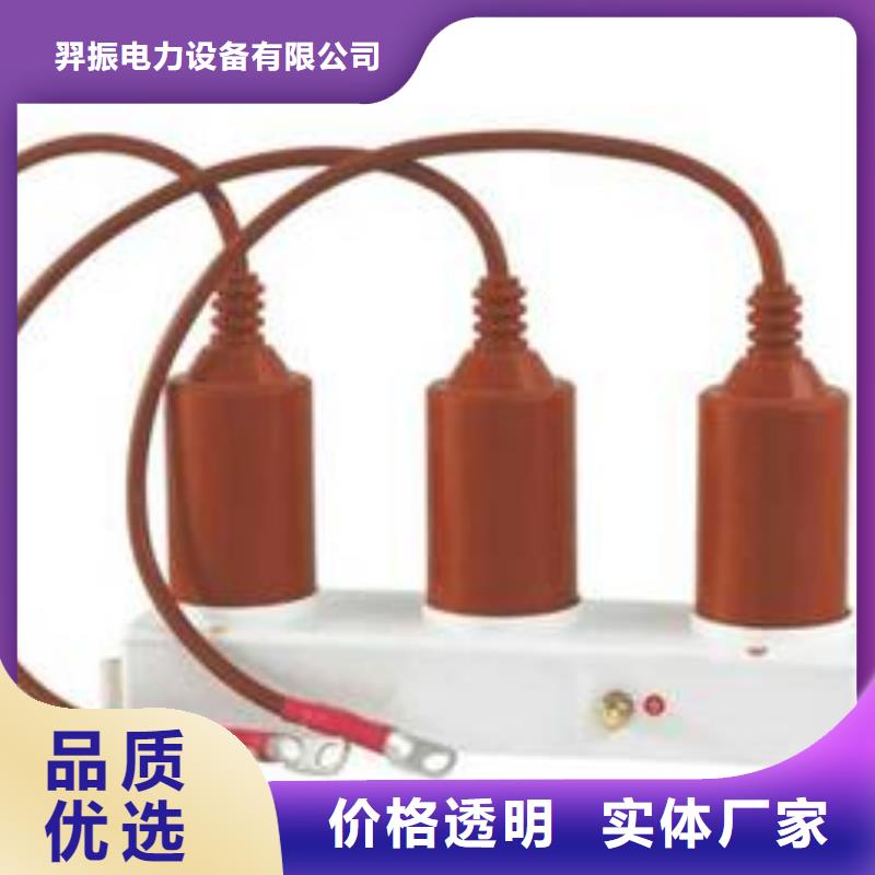 〖過電壓保護(hù)器〗TBP-A-12.7/85廠家