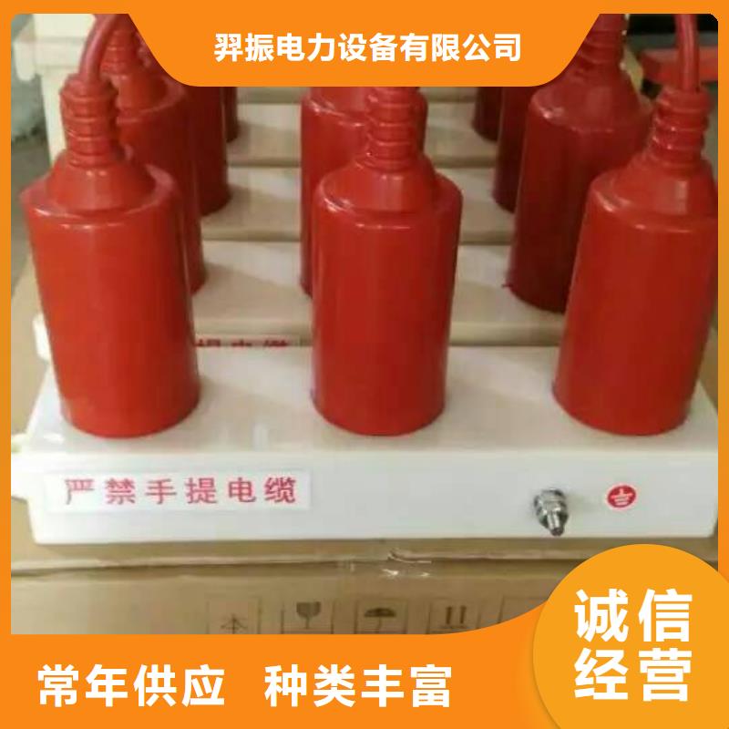 TBP-C-3.8F/100W1過電壓保護器生產(chǎn)廠家