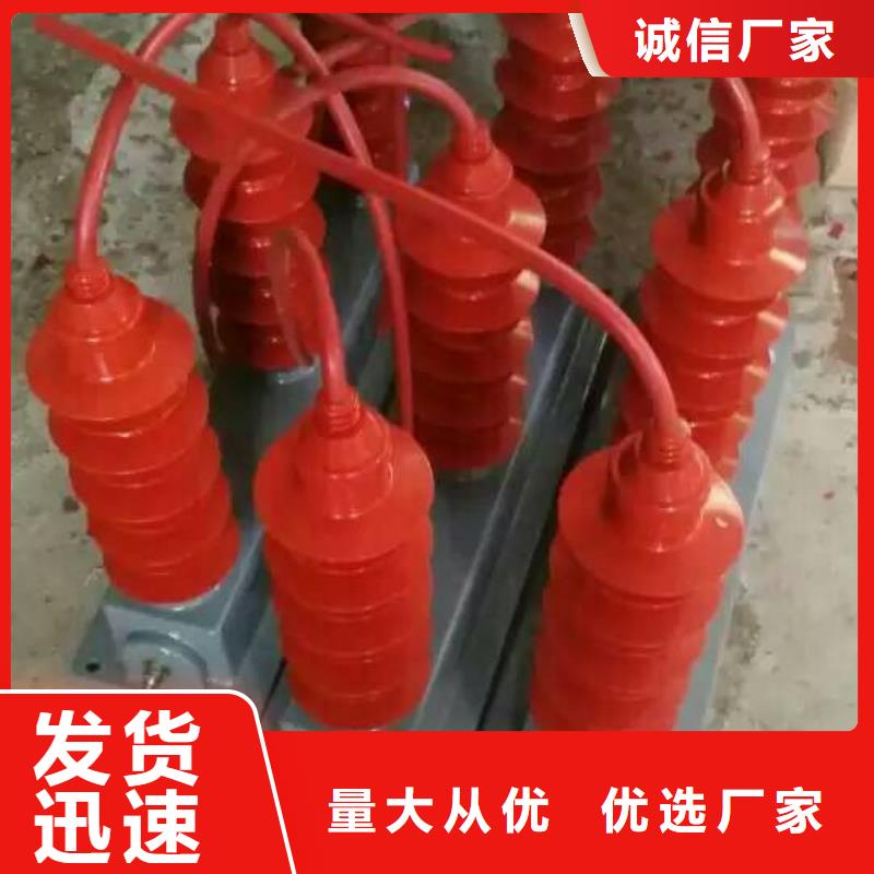 【组合式避雷器/过电压保护器】YH5WS-10/30*10/30