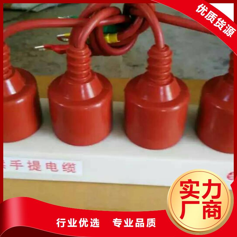 供应商过电压保护器真空断路器真材实料加工定制
