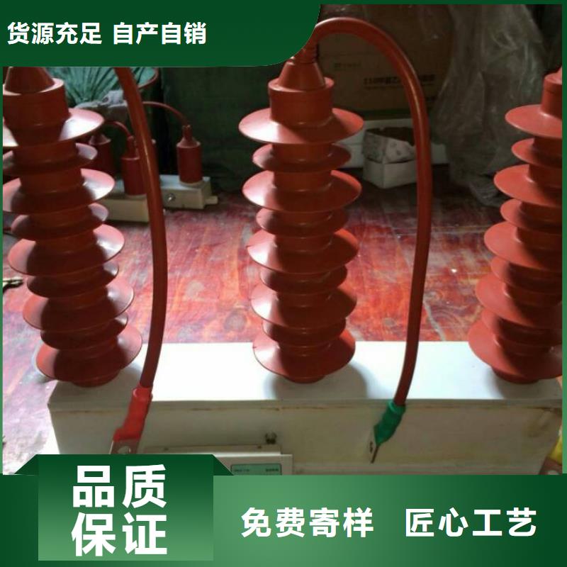 【避雷器/过电压保护器】TBP-B-7.6F/131-J