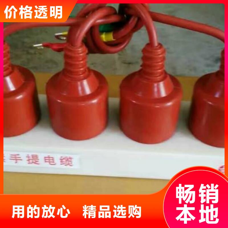 【過(guò)電壓保護(hù)器】YH5WS-17/50*17/50