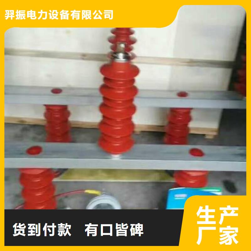 【过电压吸收装置】BSTG-C-7.6/131过电压保护器生产厂家