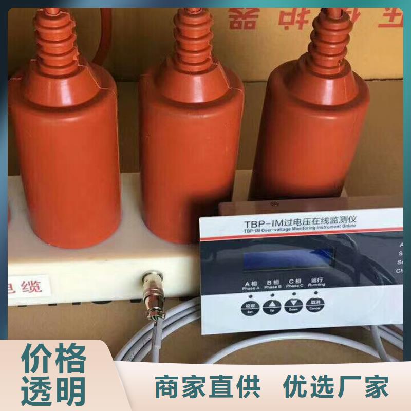 【组合式避雷器/过电压保护器】TBP-B-42