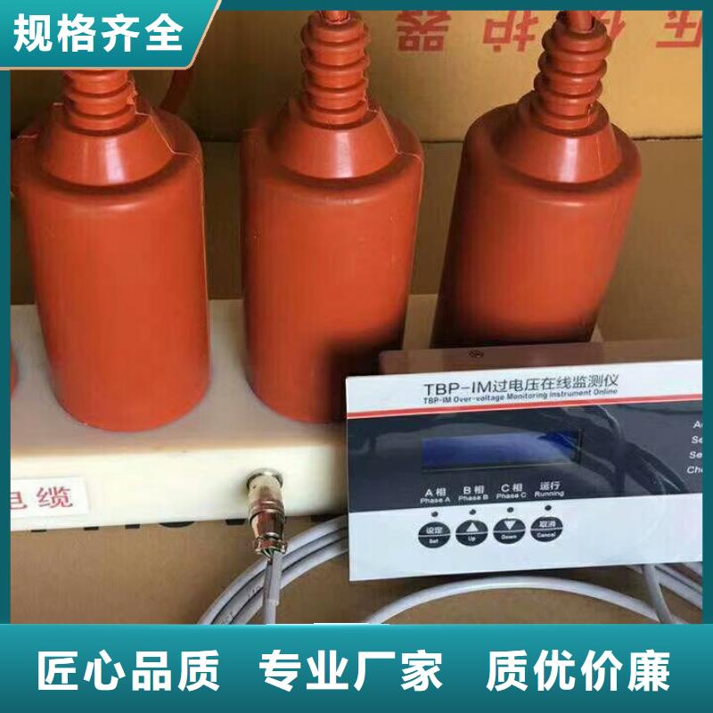 过电压保护器TBP-A-7.6/100W1