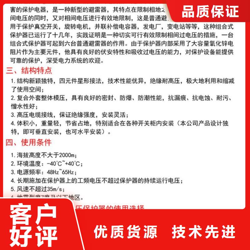 过电压保护器(组合式避雷器)YH5CZ-7.6/24*7.6/24