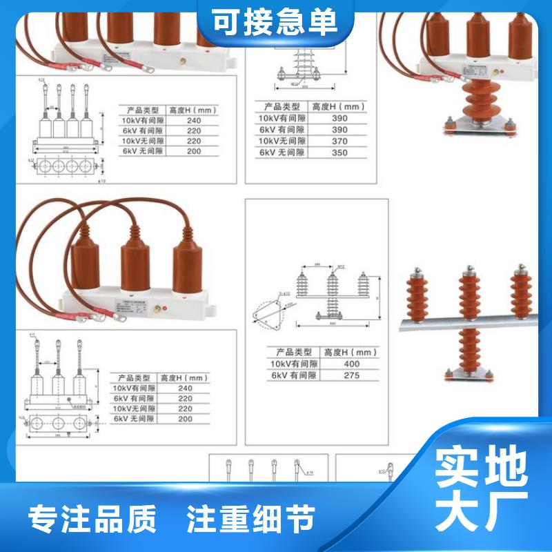 〖过电压保护器〗TBP-Y-A/35-T组合过电压保护器出厂价格