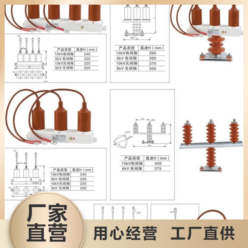 保护器(组合式避雷器)JPBHY5CD2-7.6/17