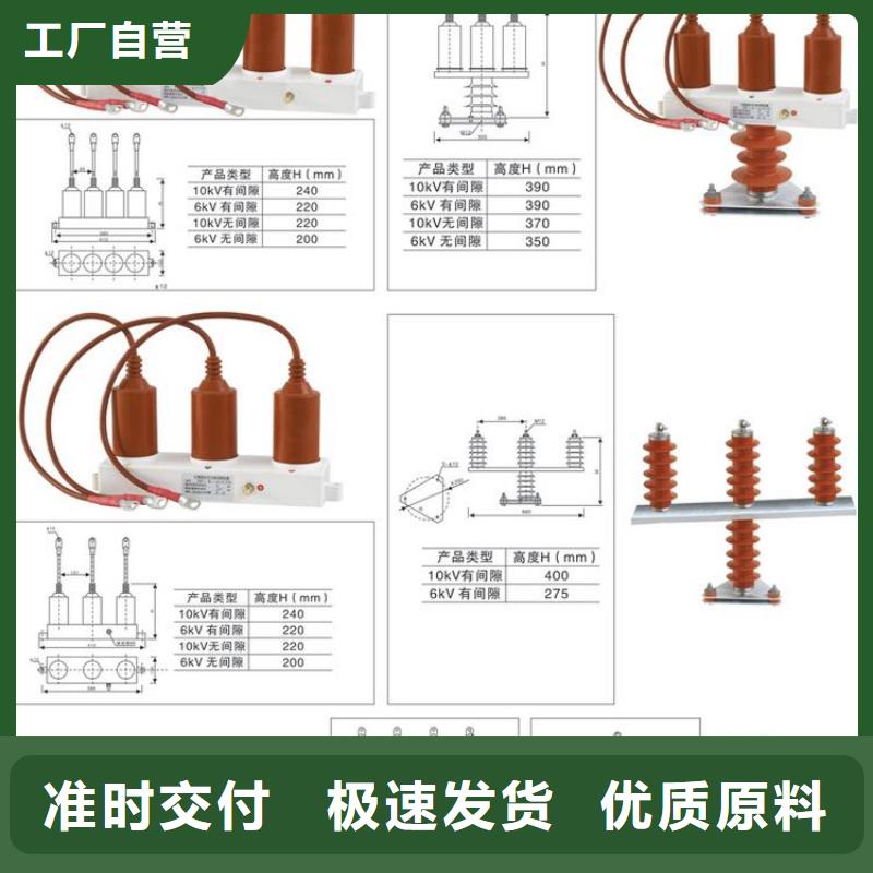 供应商过电压保护器真空断路器真材实料加工定制