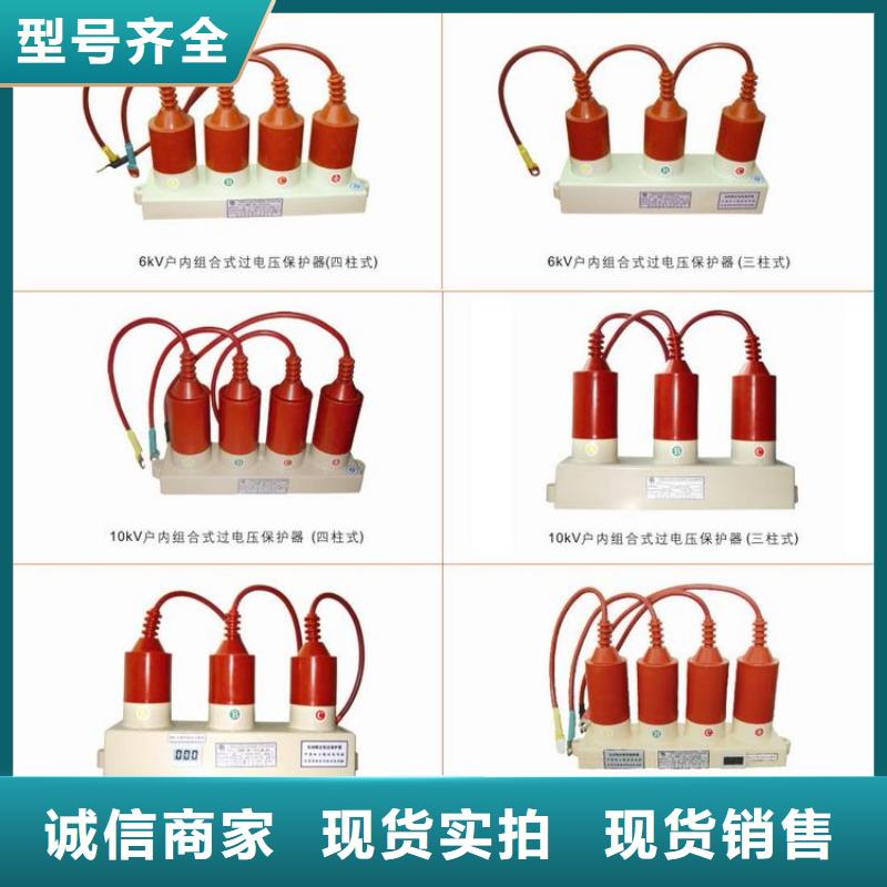 【组合式避雷器/过电压保护器】YH5WS-10/30*10/30