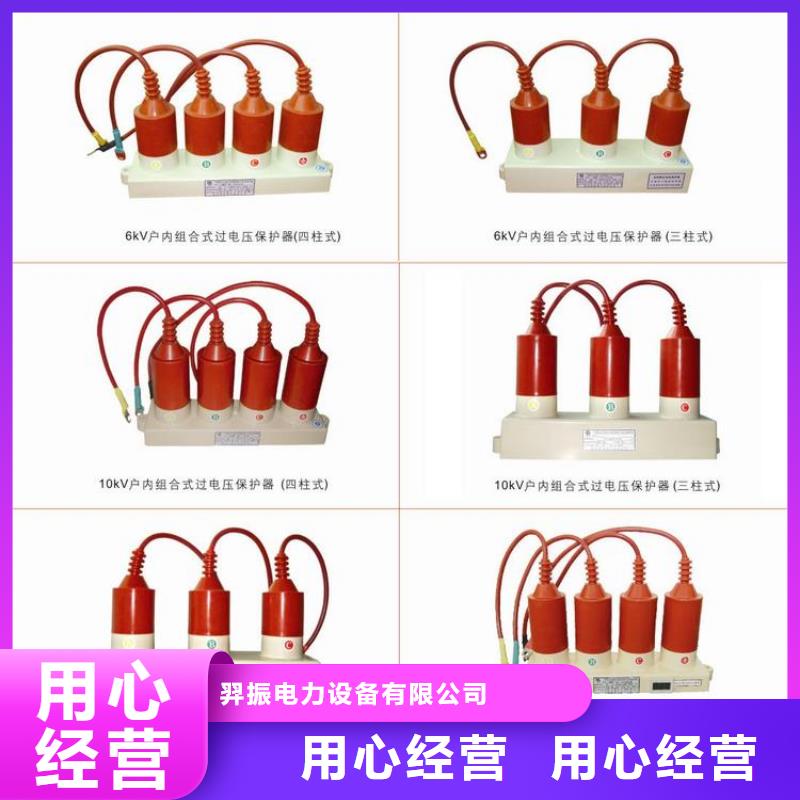 供应商过电压保护器真空断路器真材实料加工定制