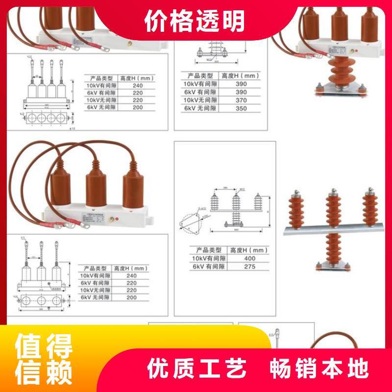 _保护器(组合式避雷器)BSTG-C-42F/400W1