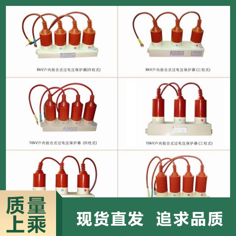 过电压保护器(组合式避雷器)YH5CZ-7.6/24*7.6/24