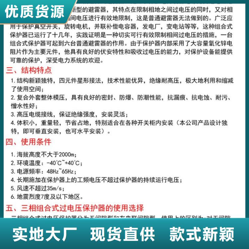 _保护器(组合式避雷器)BSTG-C-42F/400W1