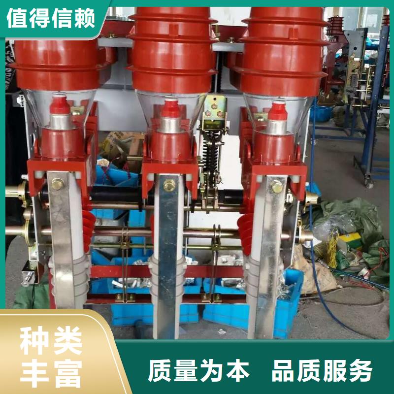 高压负荷开关FN25-10/630-20