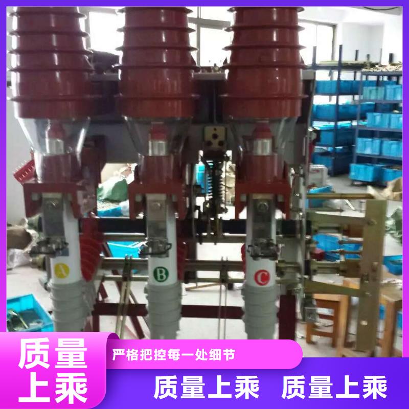 戶內(nèi)高壓負荷開關FN3-10D/630A