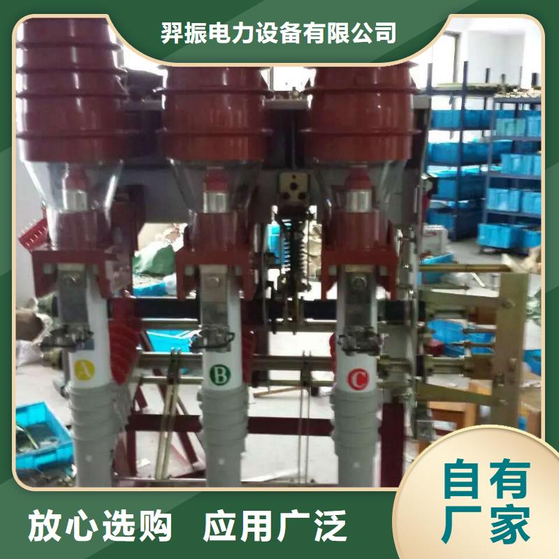 高压负荷开关FZRN40-12D/T125_